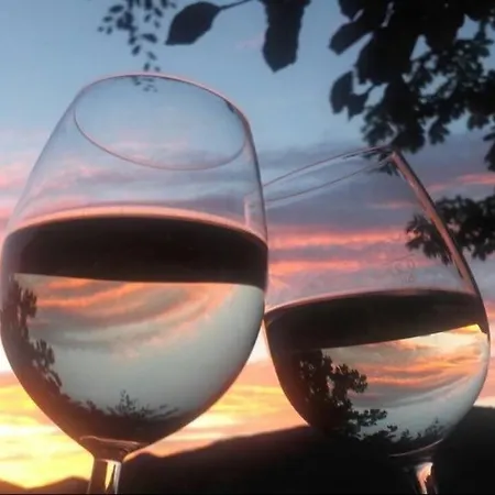 Lauras Weinherberge فندق مبيت وإفطار 4*