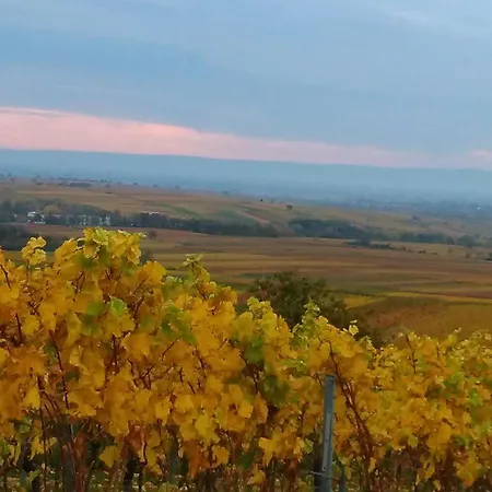 Lauras Weinherberge Bed and Breakfast