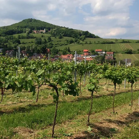 Alojamento de Acomodação e Pequeno-almoço Lauras Weinherberge