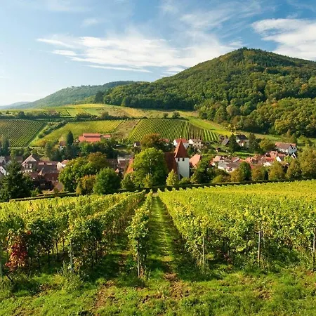 Lauras Weinherberge Bed and Breakfast 4*