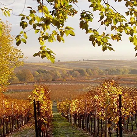 Bed and Breakfast Lauras Weinherberge 4*