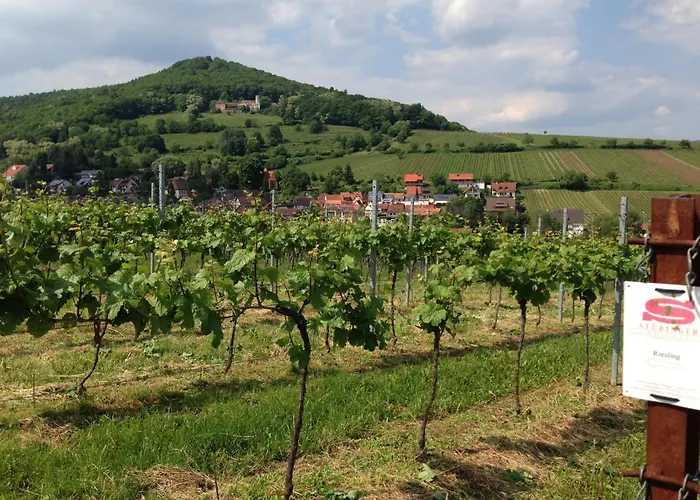 Frühstückspension Lauras Weinherberge