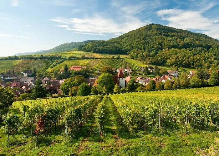 Lauras Weinherberge Frühstückspension 4*