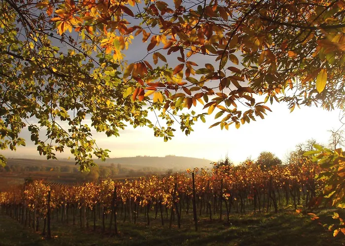 Lauras Weinherberge Alojamento de Acomodação e Pequeno-almoço 4*