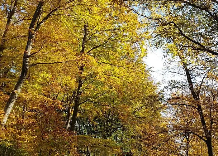 Lauras Weinherberge Frühstückspension Leinsweiler
